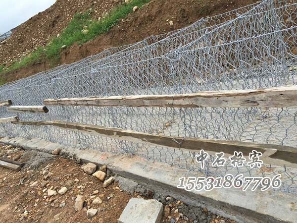 ct65_1.jpg ct65_1.jpg