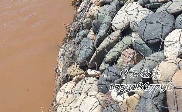 高爾凡格賓網(wǎng)