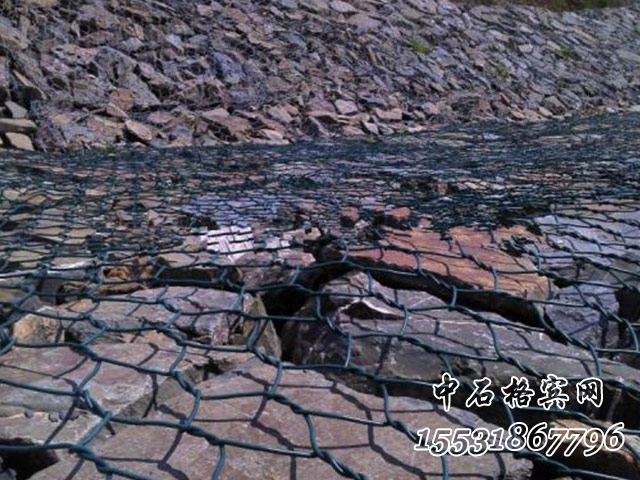 覆塑賓格網.jpg 覆塑賓格網.jpg