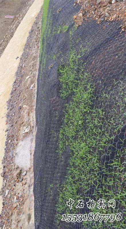 加筋三維鋼絲網(wǎng)墊護坡 加筋三維鋼絲網(wǎng)墊護坡
