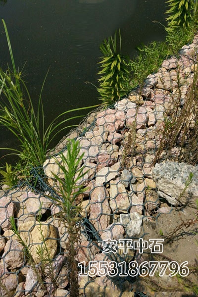 固濱籠擋墻.jpg 固濱籠擋墻.jpg