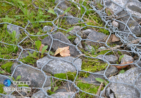 ct1893.jpg ct1893.jpg